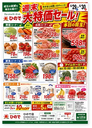 チラシ・ポスターの見本